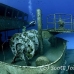 wreck_kittiwake_gc_h_0185_cay3609.jpg
